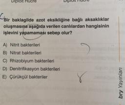 Diploit Hücre
CR
Bir baklagilde azot eksikliğine bağlı aksaklıklar
oluşmasına aşağıda verilen canlılardan hangisinin
işlevini yapamaması sebep olur?
9
A) Nitrit bakterileri
B) Nitrat bakterileri
C) Rhizobiyum bakterileri
D) Denitrifikasyon bakterileri
E) Çürükçül bakteriler
Sem
bry Yayınları