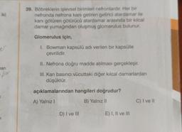 iki
hari
ople
K
39. Böbreklerin işlevsel birimleri nefronlardır. Her bir
nefronda nefrona kanı getiren getirici atardamar ile
kanı götüren götürücü atardamar arasında bir kılcal
damar yumağından oluşmuş glomerulus bulunur.
Glomerulus için,
I. Bowman kapsülü adı verilen bir kapsülle
çevrilidir.
II. Nefrona doğru madde atılması gerçekleşir.
III. Kan basıncı vücuttaki diğer kılcal damarlardan
düşüktür.
açıklamalarından hangileri doğrudur?
A) Yalnız I
B) Yalnız II
D) I ve III
E) I, II ve III
C) I ve II