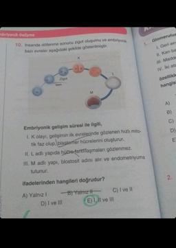 mbriyonik Gelişme
10. İnsanda döllenme sonucu zigot oluşumu ve embriyonik
bazı evreler aşağıdaki şekilde gösterilmiştir.
Zigot
Siperm
A) Yalnız I
K
M
Embriyonik gelişim süresi ile ilgili,
1. K olayı, gelişimin ilk evrelerinde gözlenen hızlı mito-
tik faz olup, blastemer hücrelerini oluşturur.
II. L adlı yapıda hücre farklılaşmaları gözlenmez.
III. M adlı yapı, blostosit adını alır ve endometriyuma
tutunur.
ifadelerinden hangileri doğrudur?
-B) Yalnız II
D) I ve III
C) I ve II
1.
E) 1, II ve III
Glomerulus
I. Geri em
II. Kan ba
III. Madde
IV. İki ate
özellikle
hangis!
A)
B)
C)
D
E
2.