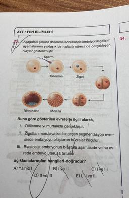 AYT/FEN BİLİMLERİ
32. Aşağıdaki şekilde döllenme sonrasında embriyonik gelişim
aşamalarının yaklaşık bir haftalık sürecinde gerçekleşen
olaylar gösterilmiştir.
Sperm
IMPROS
inhiblia
Blastosist
Döllenme
Morula
18ploen
-
Zigot
em
Buna göre gösterilen evrelerle ilgili olarak,
1. Döllenme yumurtalıkta gerçekleşir.
II. Zigottan morulaya kadar geçen segmentasyon evre-
sinde embriyoyu oluşturan hücreler Küçülür.
D) II ve III
III. Blastosist embriyonun blástula aşamasıdır ve bu ev-
rede embriyo uterusa tutunur.
açıklamalarından hangileri doğrudur?
A) Yalnız I
B) I ve II
D
C) I ve III
E) I, I ve III
34.