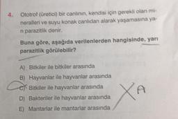 4. Ototrof (üretici) bir canlının, kendisi için gerekli olan mi-
neralleri ve suyu konak canlıdan alarak yaşamasına ya-
n parazitlik denir.
Buna göre, aşağıda verilenlerden hangisinde, yarı
parazitlik görülebilir?
A) Bitkiler ile bitkiler arasında
B) Hayvanlar ile hayvanlar arasında
Bitkiler ile hayvanlar arasında
D) Bakteriler ile hayvanlar arasında
E) Mantarlar ile mantarlar arasında
Xa