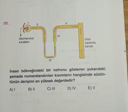 30.
||
IV
T
|||
Glomerulus
kılcalları
idrar
toplama
kanalı
İnsan böbreğindeki bir nefronu gösteren yukarıdaki
şemada numaralandırılan kısımların hangisinde süzün-
tünün derişimi en yüksek değerdedir?
A) I
B) II
C) III
D) IV E) V