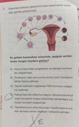 Yanıt Yayınları
7. İnsandaki embriyo gelişiminin bazı basamakları aşağı-
daki şekilde gösterilmiştir.
Bu gelişim basamakları sürecinde, aşağıda verilen-
lerden hangisi meydana gelmez?
A) Korpus luteumdan progesteron ve östrojen hormon-
ları salgılanması
B) Ovulasyon olayı sonucunda ikincil oosit hücresinin
fallopi tüpüne atılması
C) Hipofiz bezinden salgılanan FSH hormonu salgısı-
nın azalması
C
Fallopi tüpünde döllenme olayının devamında ikincil
oosit hücresinin mayoz bölünmeyi tamamlayıp yu-
murta hücresini oluşturması
E) Hipotalamusun arka lobundan hipofiz bezine ora-
dan da kana verilen oksitosin miktarının artması
XE
g