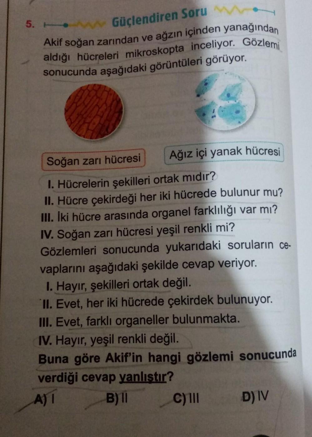 5. Güçlendiren Soru
Akif soğan zarından ve ağzın içinden yanağından
aldığı hücreleri mikroskopta inceliyor. Gözlemi
sonucunda aşağıdaki görüntüleri görüyor.
Ağız içi yanak hücresi
Soğan zarı hücresi
1. Hücrelerin şekilleri ortak mıdır?
II. Hücre çekirdeği