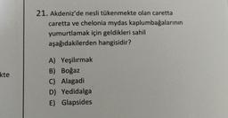 kte
21. Akdeniz'de nesli tükenmekte olan caretta
caretta ve chelonia mydas kaplumbağalarının
yumurtlamak için geldikleri sahil
aşağıdakilerden hangisidir?
A) Yeşilırmak
B) Boğaz
C) Alagadi
D) Yedidalga
E) Glapsides