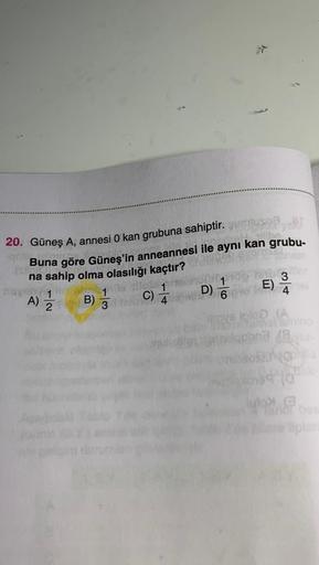 20. Güneş A, annesi 0 kan grubuna sahiptir. gum
vell
actatic.co
allibe
Buna göre Güneş'in anneannesi ile aynı kan grubu-
na sahip olma olasılığı kaçtır?
C) 1/1
D) //
noven 1
A) 12/22
B)
1
3
E)
ofter
34
iglo (A
and cur
10
(3)