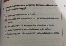 insanlarda erkek üreme sistemi ile ilgili aşağıdaki açıklama-
lardan hangisi yanlıştır?
AS
Spermler yumurtalıklarda üretilir.
Testislerde testosteron hormonu Leydig hücreleri tarafından
üretilir.
C) Meninin önemli bir kısmı seminal keseciklerde üretilir.
D) Sertoli hücreleri, spermlerin beslenmesini sağlar.
E) Epididimis, vas deferens denilen bir kanalla üretraya bağla-
nır.
4.