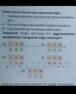 Erkek üreme hücresi olan spermlerle ilgili,
I. Testislerin seminifer tüpçüklerinde dölleme özelliği ka-
zanır.
H. Akrozom bölgesinde hidrolitik enzimler bulundurur.
H. Olgunlaşmasında hormonların etkisi yoktur.
ifadelerinin "Doğru (D)-Yanlış (Y)" değerlendirmesi
aşağıdakilerin hangisinde doğru verilmiştir?
B)
A)
e)
1
|| |||
DDD
I
||
|||
YYD
E) 1 11
D)
Y Y Y
I
Y DY
|| |||
I ||
DDY
Aşağıda erkek üreme sistemine ait yapılar numaralandı-