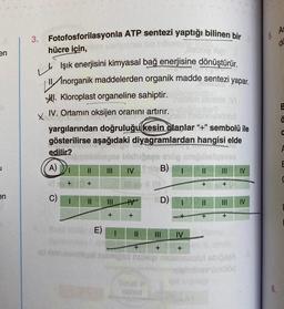 en
en
3. Fotofosforilasyonla ATP sentezi yaptığı bilinen bir
hücre için,
blizi
LIşık enerjisini kimyasal bağ enerjisine dönüştürür.
II Inorganik maddelerden organik madde sentezi yapar.
I. Kloroplast organeline sahiptir.
obl VI
IV. Ortamın oksijen oranını artırır.
obrnshöbist
yargılarından doğruluğu kesin olanlar "+" sembolü ile
gösterilirse aşağıdaki diyagramlardan hangisi elde
edilir?
yee bisbijses enög snipibalqsves
A)
IV SB)
C)
id nin
+
||
+
E)
+
+
H
gad
(rose) W
D)
+
IV
+
+
III
+
+
sbığSRA
Omülöd
IV
IV
5.
6,
As
de
B
O
A
E