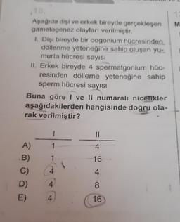 Aşağıda dişi ve erkek bireyde gerçekleşen M
gametogenez olayları verilmiştir.
A)
.B)
C)
D)
E)
1. Dişi bireyde bir oogonium hücresinden
döllenme yeteneğine sahip oluşan yu-
murta hücresi sayısı
II. Erkek bireyde 4 spermatgonium hüc-
resinden dölleme yeteneğine sahip
sperm hücresi sayısı
Buna göre I ve II numaralı nicelikler
aşağıdakilerden hangisinde doğru ola-
rak verilmiştir?
1
1
1
4
4
4
||
4
16
4
8
16