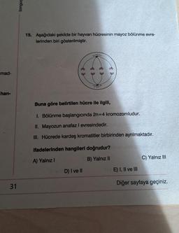mad-
han-
31
tonguc
15. Aşağıdaki şekilde bir hayvan hücresinin mayoz bölünme evre-
lerinden biri gösterilmiştir.
88
WILLE
8 d
6 d
8 2
Buna göre belirtilen hücre ile ilgili,
1. Bölünme başlangıcında 2n=4 kromozomludur.
II. Mayozun anafaz I evresindedir.
III. Hücrede kardeş kromatitler birbirinden ayrılmaktadır.
D) I ve II
ifadelerinden hangileri doğrudur?
A) Yalnız I
B) Yalnız II
C) Yalnız III
E) I, II ve III
Diğer sayfaya geçiniz.