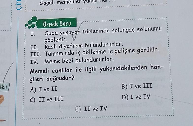 veli
LIS
I.
Gagali memeliler yur
Örnek Soru
Suda yaşayan türlerinde solungaç solunumu
gözlenir.
II. Kaslı diyafram bulundururlar.
III. Tamamında iç döllenme iç gelişme görülür.
IV. Meme bezi bulundururlar.
Memeli canlılar ile ilgili yukarıdakilerden han-
g