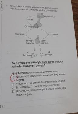 $ SUPARA
31. Erkek bireyde üreme yapılarının oluşumunda etkili
olan hormonlardan dört tanesi şekilde gösterilmiştir.
GnRH
Ön hipofiz
X hormonu
Leydig
hücreleri
K
hormonu
Hipotalamus
Y hormonu
Sertoli
hücreleri
M
hormonu
Bu hormonların etkileriyle ilgili olarak aşağıda
verilenlerden hangisi yanlıştır?
A) X hormonu; testosteron salınmasını uyarır.
B) Khormonu; epididimiste spermlerin oluşumunu
başlatır.
C) Y hormonu; spermlerin beslenmesinde etkilidir.
D) M hormonu; Y hormonu salgısını engeller.
E) K hormonu; ikincil cinsiyet karakterlerinin oluş-
masını sağlar.