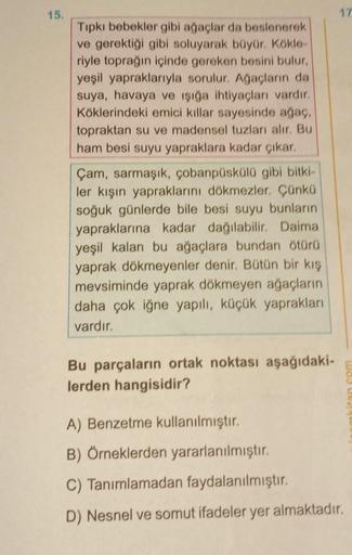 15.
Tıpkı bebekler gibi ağaçlar da beslenerek
ve gerektiği gibi soluyarak büyür. Kökle-
riyle toprağın içinde gereken besini bulur,
yeşil yapraklarıyla sorulur. Ağaçların da
suya, havaya ve ışığa ihtiyaçları vardır.
Köklerindeki emici killar sayesinde ağaç