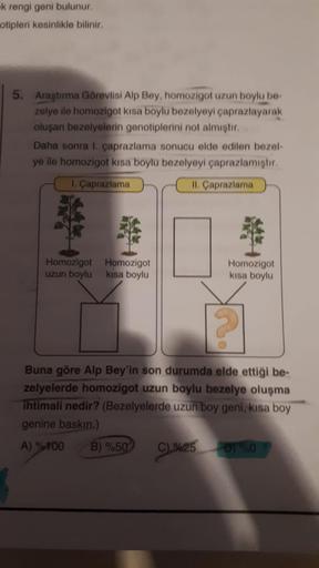 -k rengi geni bulunur.
otipleri kesinlikle bilinir.
5. Araştırma Görevlisi Alp Bey, homozigot uzun boylu be-
zelye ile homozigot kısa boylu bezelyeyi çaprazlayarak
oluşan bezelyelerin genotiplerini not almıştır.
Daha sonra 1. çaprazlama sonucu elde edilen