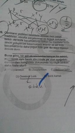 B) 3/4
tir?
C) 1/2
D) Omnivor balık
Omnivort
D) 1/4
bireyin
otaul
E) 18
te
tixr
20. Canlıların yedikleri besinlerle aldıkları bazı zehirli
maddeler, vücutta parçalanmaz ve değişik dokularda
birikir. Alt trofik basamaklarda biriken bu maddeler besin
zinciri yoluyla üst basamaklara aktarılır ve üst trofik
basamaklarda daha yoğun hale gelir. Bu olaya biyolojik
birikim denir.
1
NF
Buna göre, bir göl ekosistemine karışan bir zehirli
maddenin aynı besin zincirinde yer alan aşağıdaki
canlilardan hangisinin dokusunda biyolojik birikim
daha fazla olur?
A) Fitoplankton B) Zooplankton
Balık kartalı
2
C) Herbivor balık