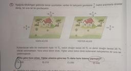 9. Aşağıda dikdörtgen şeklinde kenar uzunlukları verilen iki bahçenin çevresine 1 metre aralıklarla direkler
dikilip, bir sıra tel ile çevrilecektir.
2
10
5
11-
E
18
KARA AİLESİ
FAA
5 m
12
Asağıda kün seklinde iki avizo ada mutfak üzerine
5 m
12
oldalá
19-
YİĞİTER AİLESİ
14
Kullanılacak telin bir metresinin fiyatı 10 TL, beton direğin tanesi 20 TL ve demir direğin tanesi 25 TL
olarak satılmaktadır. Kara ailesi demir direk, Yiğiter ailesi beton direk kullanarak bahçelerine bir sıra tel
çektirmişlerdir.
Buna göre Kara ailesi, Yiğiter ailesine göre kaç TL daha fazla ödeme yapmıştır?
A) 205
B) 215
C) 235
D) 245
5 m
6