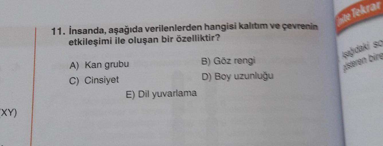 (XY)
11. İnsanda, aşağıda verilenlerden hangisi kalıtım ve çevrenin
etkileşimi ile oluşan bir özelliktir?
A) Kan grubu
C) Cinsiyet
E) Dil yuvarlama
B) Göz rengi
D) Boy uzunluğu
Unite Tekrar
Asagidaki so