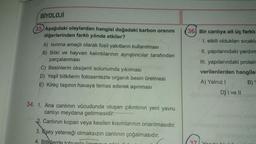 BİYOLOJİ
33. Aşağıdaki olaylardan hangisi doğadaki karbon oranını
diğerlerinden farklı yönde etkiler?
A) Isınma amaçlı olarak fosil yakıtların kullanılması
B) Bitki ve hayvan kalıntılarının ayrıştırıcılar tarafından
parçalanması
C) Besinlerin oksijenli solunumda yıkılması
D) Yeşil bitkilerin fotosentezle organik besin üretmesi
E) Kireç taşının havaya temas ederek aşınması
34. 1. Ana canlının vücudunda oluşan çıkıntının yeni yavru
canlıyı meydana getirmesidir.
2. Canlının kopan veya kesilen kısımlarının onarılmasıdır.
3. Eşey yeteneği olmaksızın canlının çoğalmasıdır.
4. Bitkilerde
(36) Bir canlıya ait üç farklı
I. etkili oldukları sıcaklı
II. yapılarındaki yardım
III. yapılarındaki proteir
verilenlerden hangiler
A) Yalnız I
B)
DY I ve II