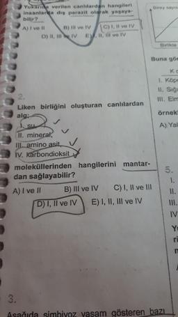 Yukarıda verilen canlılardan hangileri
insanlarda dış parazit olarak yaşaya-
bilir?
A) I ve Il
B) Il ve IV
D) II, III IV E, II, III ve IV
su
C) 1, II ve IV
2.
Liken birliğini oluşturan canlılardan
alg:
II. mineral,
IIL amino asit,
IV. karbondioksit
moleküllerinden hangilerini mantar-
dan sağlayabilir?
A) I ve II
Birey sayıs
B) III ve IV
C) I, II ve III
D) I, II ve IV E) I, II, III ve IV
Birlikte
Buna gör
KC
1. Köpe
11. Sign
III. Elm
örnek!
A) Yal
5.
Asağıda simbiyoz yaşam gösteren bazı
1.
11.
III.
IV
Yı
ri