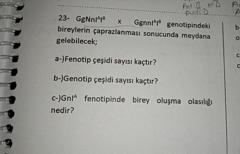 Antis, An D
FALLD
23- GgNnI^IB X GgnnlAB genotipindeki
bireylerin çaprazlanması sonucunda meydana
gelebilecek;
a-)Fenotip çeşidi sayısı kaçtır?
b-)Genotip çeşidi sayısı kaçtır?
c-)GnA fenotipinde birey oluşma olasılığı
nedir?
A
A
b-
O
C
C