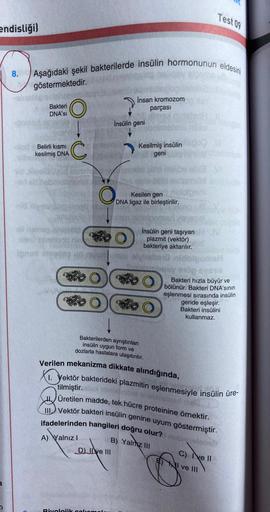 endisliği)
8.
Aşağıdaki şekil bakterilerde insülin hormonunun eldesini
göstermektedir.
Bakteri
DNA'SI
nd Belirli kısmı
kesilmiş DNA
aid siymeldu
oll hojasp.
O
igned empa
C
20
O
İnsan kromozom
parçası
İnsülin geni
D) Ilve III
Biyolojik caliems
Kesilmiş insü