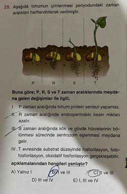 29. Aşağıda tohumun çimlenmesi periyodundaki zaman
aralıkları harflendirilerek verilmiştir.
R
Buna göre; P, R, S ve T zaman aralıklarında meyda-
na gelen değişimler ile ilgili,
P
S
I. P zaman aralığında tohum protein sentezi yapamaz.
II. R zaman aralığında endospermdeki besin miktarı
azalır.
IS zaman aralığında kök ve gövde hücrelerinin bö-
lünmesi sürecinde sentrozom eşlenmesi meydana
gelir.
IV. T evresinde substrat düzeyinde fosforilasyon, foto-
fosforilasyon, oksidatif fosforilasyon gerçekleşebilir.
açıklamalarından hangileri yanlıştır?
A) Yalnız I
B
BI ve III
D) III ve IV
CI ve III
E) I, III ve IV