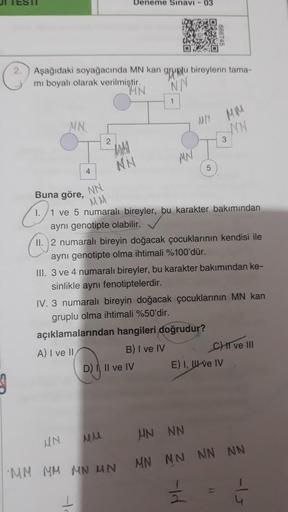 MN
Aşağıdaki soyağacında MN kan gruplu bireylerin tama-
mi boyalı olarak verilmiştir.
NN
MN
1
4
2
AM
NN
Deneme Sınavı - 03
MN
D) I, II ve IV
UN MU
MM MM MN UN
666745
5
Buna göre,
NN
M.M
1. 1 ve 5 numaralı bireyler, bu karakter bakımından
aynı genotipte ola