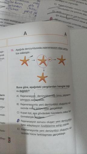 syonalizm
pirizar
aşa-
arak
mu enzim eksikliğinde o
idir. X kromoz
esif bir
brum
ilerin
doğ-
diğer
Felse fenm
yo kinden
onloton porus (M
midin
kaybı
fazia-
2000-
msiz
B
A
oldu
dile f
lişkisi
yapılı bir pigmenttir.
um gazlarini tas
C) Katabolizmaları sonucu