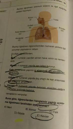 kanalin-
rda
sal
Biyoloji öğretmeni solunum sistemi ile ilgili aşağıdaki
posten hazırlıyor.
Soluk borusu
(1)
Akciğerler
(V)
Burun
(1)
Gırtlak
(11)
Sınavi-08
D) Gözde
Yutak
Biyoloji öğretmeni öğrencilerinden numaralı yerlerle ilgili
yorumlar yapmalarını ist