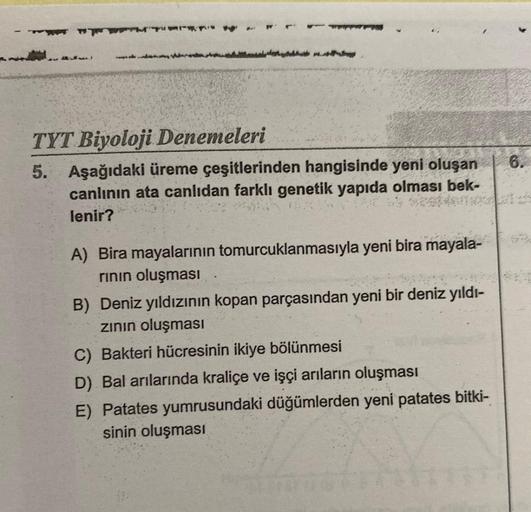 TYT Biyoloji Denemeleri
5. Aşağıdaki üreme çeşitlerinden hangisinde yeni oluşan
canlının ata canlıdan farklı genetik yapıda olması bek-
lenir?
A) Bira mayalarının tomurcuklanmasıyla yeni bira mayala-
rının oluşması
B) Deniz yıldızının kopan parçasından yen