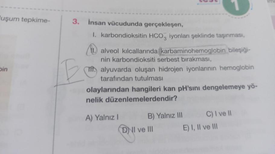 uşum tepkime-
bin
3. İnsan vücudunda gerçekleşen,
B
I. karbondioksitin HCO iyonları şeklinde taşınması,
11. alveol kılcallarında karbaminohemoglobin bileşiği-
nin karbondioksiti serbest bırakması,
If alyuvarda oluşan hidrojen iyonlarının hemoglobin
tarafın