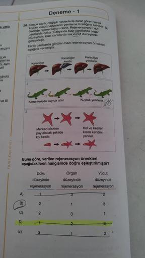 ki ettiği
n
enzimi
in ve
zimi su
i, ayni
sit
idroliz
re
J
ve Ill
Yanıt Yayınları
20. Birçok canlı, değişik nedenlerle zarar gören ya da
kopan vücut parçalarını yenileme özelliğine sahiptir. Bu
özelliğe rejenerasyon denir. Rejenerasyon; bazı
canlılarda doku