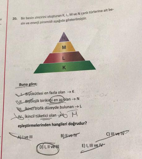 u
20. Bir besin zincirini oluşturan K, L, M ve N canlı türlerine ait be-
sin ve enerji piramidi aşağıda gösterilmiştir.
Buna göre;
ALLve III
N
M
Biyokütlesi en fazla olan → K
V. Biyolojik birikimi en az olan → N
XII. ikinci trofik düzeyde bulunan → L
Vİkin