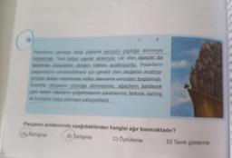 Insanların çevreye attiği çöplerle yeryüzü çöplüğe dönmeye
başlamıştı. Yeni beton yapilar ekleniyor, var olan ağaçlar da
kesilerek dünyadaki oksijen miktan azaltılıyordu. Insanların
yaşamlarını sürdürebilmesi için gerekli olan oksijenin azalma-
sından dolayı insanlarda nefes alamama sorunları başlamıştı.
insanlar dünyanın çöplüğe dönmesinin, ağaçların kesilerek
yani beton yapıların çoğalmasının zararlarının farkına varmış
ve bunlarla başa çıkmaya çalışıyorlardı.
Parçanın anlatımında aşağıdakilerden hangisi ağır basmaktadır?
(A) Tartışma
B) Tartışma
C) Öyküleme
D) Tanık gösterme