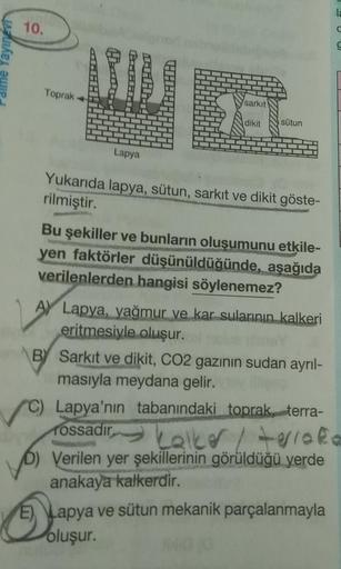 10.
Toprak +
M
Lapya
sarkit
FL
dikit
sütun
Yukarıda lapya, sütun, sarkıt ve dikit göste-
rilmiştir.
Bu şekiller ve bunların oluşumunu etkile-
yen faktörler düşünüldüğünde, aşağıda
verilenlerden hangisi söylenemez?
A Lapya, yağmur ve kar sularının kalkeri
e