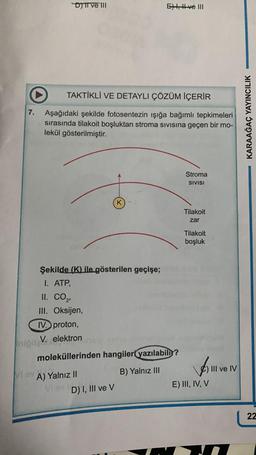 7.
D) II ve III
TAKTİKLİ VE DETAYLI ÇÖZÜM İÇERİR
Aşağıdaki şekilde fotosentezin ışığa bağımlı tepkimeleri
sırasında tilakoit boşluktan stroma sivisina geçen bir mo-
lekül gösterilmiştir.
Şekilde (K) ile gösterilen geçişe;
1. ATP,
II. CO₂,
III. Oksijen,
IV. proton,
iniğit V. elektron
K
Vi ev A) Yalnız II
VI av lin
Et, ve III
moleküllerinden hangileri yazılabilir?
B) Yalnız III
D) I, III ve V
Stroma
SIVISI
Tilakoit
zar
Tilakoit
boşluk
Voll
E) III, IV, V
III ve IV
KARAAĞAÇ YAYINCILIK
22