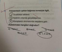 minatur 0 svalo genys rooted
Fotosentezin ışıktan bağımsız evresiyle ilgili,
Sıcaklıktan etkilenir.
II. Aydınlık ortamda gerçekleşemez.
III. Kloroplastin stromasında meydana gelir.
ifadelerinden hangileri doğrudur?
A) Yalnızl
B) vell
DI ve III
C) vell
E) I, II ve TH