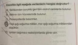 Klorofille ilgili aşağıda verilenlerin hangisi doğrudur?
A Sentezinden sorumlu gen tüm ototrof canlılarda bulunur.
B Bitkinin tüm hücrelerinde bulunur.
CProkaryotlarda bulunmaz.
Yeşil ışığı soğurma miktarı, mor ışığı soğurma miktarından
si düşüktür.
EIşıktan bağımsız reaksiyonlarda görev alır.
te
öp snu