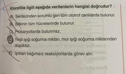 Klorofille ilgili aşağıda verilenlerin hangisi doğrudur?
A Sentezinden sorumlu gen tüm ototrof canlılarda bulunur.
B Bitkinin tüm hücrelerinde bulunur.
CProkaryotlarda bulunmaz.
Yeşil ışığı soğurma miktarı, mor ışığı soğurma miktarından
si düşüktür.
EIşıktan bağımsız reaksiyonlarda görev alır.
te
öp snu