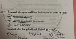 Jigli ofvizsive imped sprei nisingeolo
ut unornsled teadiez siviesmuğa idizi niliterol
Fotofosforilasyonla ATP sentezi yapan bir canlı ile ilgili,
t. Atmosfere Overir,d lsesymist
HOlaylar kloroplastta gerçekleşir.
M
III. NADP bulundurur.
Soimed iselnez RTA
Fuburpob hatipo
ifadelerinden hangileri kesinlikle doğrudur2
A) Yalnız I
Dtvell
01 (8.
B Yalnız II
isbrey
198 (0
C) Yalnız II
ENLY I