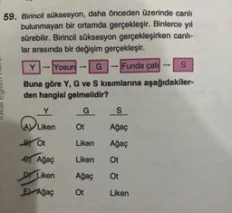 59. Birincil süksesyon, daha önceden üzerinde canlı
bulunmayan bir ortamda gerçekleşir. Binlerce yıl
sürebilir. Birincil süksesyon gerçekleşirken canlı-
lar arasında bir değişim gerçekleşir.
Y
-
Yosun
Buna göre Y, G ve S kısımlarına aşağıdakiler-
den hangisi gelmelidir?
Y
G
Liken
B) Ot
Ağaç
D Liken
EX Ağaç
->>
Ot
Funda çalı
G
Liken
Liken
Ağaç
Ot
S
Ağaç
Ağaç
Ot
Ot
Liken
-
S