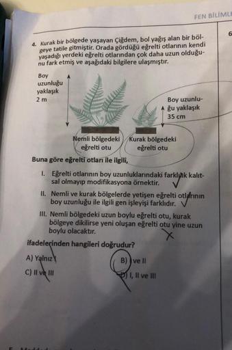 4. Kurak bir bölgede yaşayan Çiğdem, bol yağış alan bir böl-
geye tatile gitmiştir. Orada gördüğü eğrelti otlarının kendi
yaşadığı yerdeki eğrelti otlarından çok daha uzun olduğu-
nu fark etmiş ve aşağıdaki bilgilere ulaşmıştır.
Boy
uzunluğu
yaklaşık
2 m
B