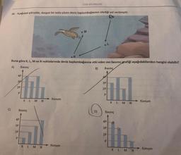 C)
16. Aşağıdaki görselde, durgun bir suda yüzen deniz kaplumbağasının izlediği yol verilmiştir.
4P...
3P...
1.
Konum
KLMN
2P
P
Buna göre K, L, M ve N noktalarında deniz kaplumbağasına etki eden sıvı basıncı grafiği aşağıdakilerden hangisi olabilir?
A)
Basınç
B)
Basınç
4P
3P
2P
P
Basınç
KLMN
FEN BİLİMLERİ
.K
Konum
M
D)
4P
3P...
2P
P
KLMN
Basınç
4P
3P
TILL
2P
P
KLM N
Konum
Konum
