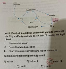 37.
Asit
yağmuru
NO,
Yeşil bitkiler
H+
NH
D) I ve III
Nitrifikasyon
Protein
X
canlısı
NH3
Azot döngüsünü gösteren yukarıdaki şemada proteinle-
rin NH3 e dönüşmesinde görev alan X canlısı ile ilgili
olarak;
p
1. Kemosentez yapar
II. Denitrifikasyon bakterisidir
III. Ökaryot ya da prokaryot hücre yapısında olabilir
açıklamalarından hangileri doğrudur?
A) Yalnız I
B) Yalnız il
C) Yalnız III
E) II ve III