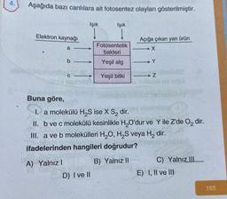 4.
Aşağıda bazı canlılara ait fotosentez olayları gösterilmiştir.
Elektron kaynağı
a
b-
C
Işık
↓
Işık
↓
D) I ve II
Fotosentetik
bakteri
Yeşil alg
Yeşil bitki
Açığa çıkan yan ürün
X
Y
Ineen z
Buna göre,
I. a molekülü H₂S ise X S₂ dir.
II. b ve c molekülü kesinlikle H₂O'dur ve Y ile Z'de O₂ dir.
III. a ve b molekülleri H₂O, H₂S veya H₂ dir.
ifadelerinden hangileri doğrudur?
A) Yalnız I
B) Yalnız II
C) Yalnız III
E) I, II ve III
165