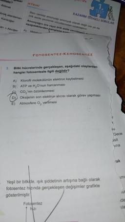 istir?
Böbrek
brek atardamarı
Karaciğer
arı > Akciğer
3.
aki
STEMİ
A)
B)
Bazı canlılar amonyağı amonyak olarak değil üre ya da
ürik aside çevirerek vücutlarından uzaklaştırır.
Amonyağın üre veya ürik asite çevrilmesi
aşağıdakilerden hangisini sa
A) Metabol
KAZANIM ODAKLI SORULAR
FOTOSENTEZ-KEMOSENTEZ
Bitki hücrelerinde gerçekleşen, aşağıdaki olaylardan
hangisi fotosentezle ilgili değildir?
1.
TEST
Klorofil molekülünün elektron kaybetmesi
ATP ve H₂O'nun harcanması
CO₂'nin özümlenmesi
Oksijenin son elektron alıcısı olarak görev yapması
E) Atmosfere O₂ verilmesi
Fotosentez
hizi
Yeşil bir bitkide, ışık şiddetinin artışına bağlı olarak
fotosentez hızında gerçekleşen değişimler grafikte
gösterilmiştir.
Bu
Gece
asit
Sina
rak
Smu
ur
de
ula