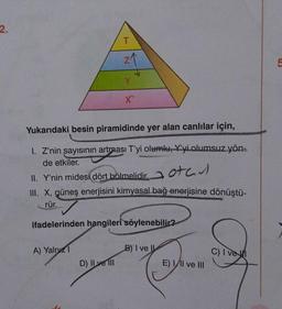 2.
T
Y
Yukarıdaki besin piramidinde yer alan canlılar için,
I. Z'nin şayısının artması T'yi olumlu, Y'yi olumsuz yön-
de etkiler.
A) Yalnız 1
X
II. Y'nin midesi dört bölmelidir. ott
III. X, güneş enerjisini kimyasal bağ enerjisine dönüştü-
rür.
D) II ve III
ifadelerinden hangileri söylenebilir?
B) I ve II
E) III ve III
C) I ve