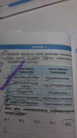 10. Aşağıdaki tabloda bir bitkide gerçekeşen fotosentezi
işğa bağımlı ve işıktan bağımsız reaksiyonlarının
karşılaştırma yapılmıştır.
2.
DENEME 5
Tilakoit zarda gerçekleşir.
ADP, Pi, NADP ve H₂O
kullanılır.
ETS görev alır
Fosforilasyon gerçekleşir.
PHASS
5. Organik besin sentezlenir.
Mondeo
3.
iga Bağımlı
Reaksiyonlar
B) 2
C) 3
Işıktan Bağımsız
Reaksiyonlar
Stromada gerçekleşir.
Buna göre, numaralandırılmış
hangisi yanlıştır?
SON LONGONTIN
A) 1
CO₂¹
AN
ATP NADPH kullanılır
ETS görev almaz.
Defosforilasyon gerçekleşir.
Organik besinler kullanılır.
karşılaştırmalarda
D) 4
E5