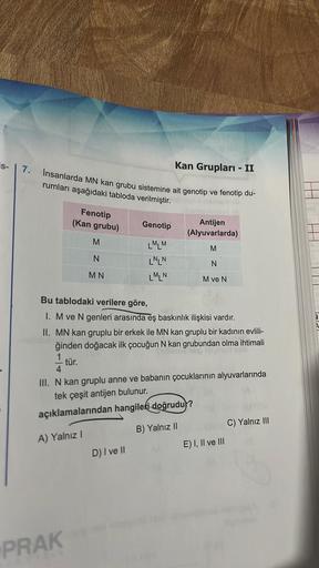 is-
7.
Insanlarda MN kan grubu sistemine ait genotip ve fenotip du-
rumları aşağıdaki tabloda verilmiştir.
Fenotip
(Kan grubu)
M
N
MN
PRAK
Kan Grupları - II
Genotip
LMLM
LNLN
LM N
Bu tablodaki verilere göre,
1. M ve N genleri arasında eş baskınlık ilişkisi